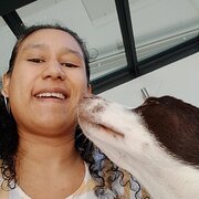 House Sitter - Happy and Friendly Pet Lover