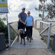 Home Owner wanting sitter in Brisbane , Queensland