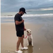 House Sitter - Janie and Sam  - Queensland  2026