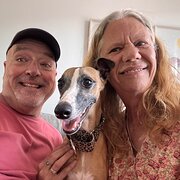 House Sitter - Reliable, experienced sitters available