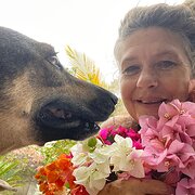 House Sitter - Mature carer of pets and plants 🌱