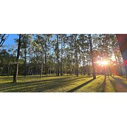 Home Owner wanting sitter in Gympie, Queensland