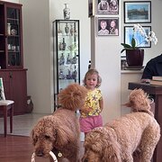 Home Owner wanting sitter in Perth, Western Australia