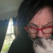 House Sitter - Best Friend
