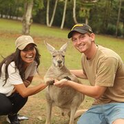 House Sitter - Animal loving couple