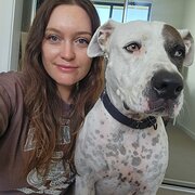 Home Owner wanting sitter in , Queensland