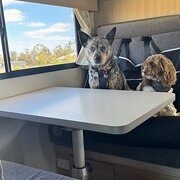 Home Owner wanting sitter in Mandurah, Western Australia