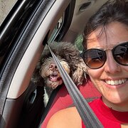 House Sitter - Mr
