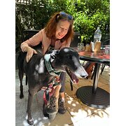 House Sitter - Nature & Animal Lover