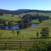 Home Owner wanting sitter in Bairnsdale East Gippsland, Victoria