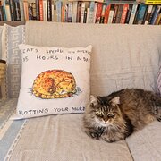 Home Owner wanting sitter in Hobart, Tasmania