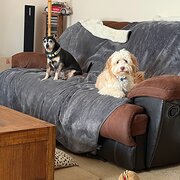 Home Owner wanting sitter in , Victoria