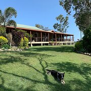 Home Owner wanting sitter in Mackay, Queensland