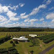 Home Owner wanting sitter in Mareeba, Queensland