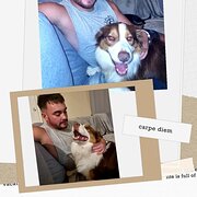 House Sitter - House and Pet sitter Darwin 