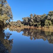 Home Owner wanting sitter in , Queensland