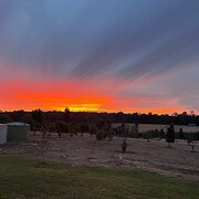 Home Owner wanting sitter in Busselton, Western Australia