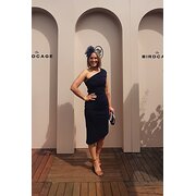 House Sitter - Animal Lover & Respectful Home Guest
