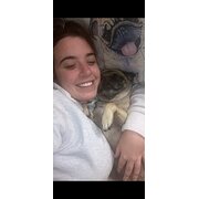 House Sitter - Pet sitter