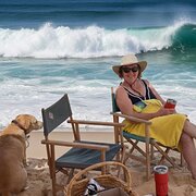 Home Owner wanting sitter in GELORUP, Western Australia