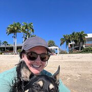 House Sitter - Airlie Beach