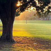 Home Owner wanting sitter in , New South Wales