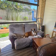 Home Owner wanting sitter in , South Australia
