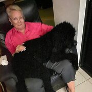 Home Owner wanting sitter in MANDURAH, Western Australia