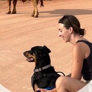 Home Owner wanting sitter in Perth, Western Australia