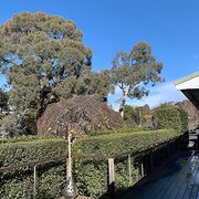 Home Owner wanting sitter in Melbourne, Victoria