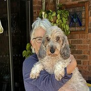 House Sitter - Bron
