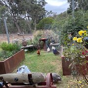 Home Owner wanting sitter in Castlemaine , Victoria