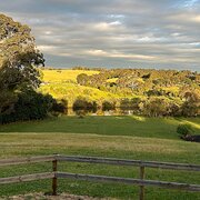 Home Owner wanting sitter in , Victoria