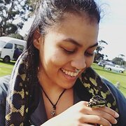 House Sitter - Magical pet sitter