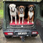 Home Owner wanting sitter in Wollongong, New South Wales