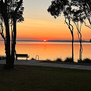 Home Owner wanting sitter in , New South Wales