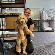 House Sitter - Amanda