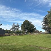 Home Owner wanting sitter in Melbourne, Victoria