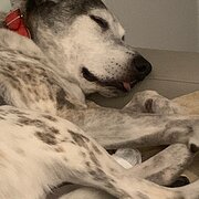 Home Owner wanting sitter in WYOMING, New South Wales