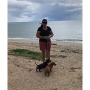 House Sitter - Karen 53 Animal carer in Inverell
