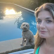House Sitter - Experienced professional animal carer