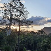 Home Owner wanting sitter in , Queensland