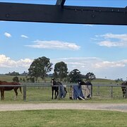 Home Owner wanting sitter in Mitchells Flat, New South Wales