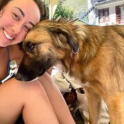 House Sitter - Easygoing, adventurous & reliable sitter