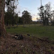 Home Owner wanting sitter in , New South Wales