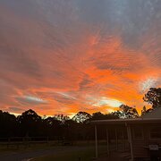 Home Owner wanting sitter in Cessnock , New South Wales