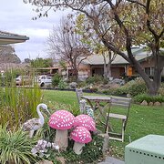 Home Owner wanting sitter in , Australian Capital Territory