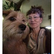 House Sitter - Peace of mind wenn you are away. 