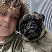 House Sitter - WilsonS