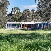 Home Owner wanting sitter in Hamilton, Victoria